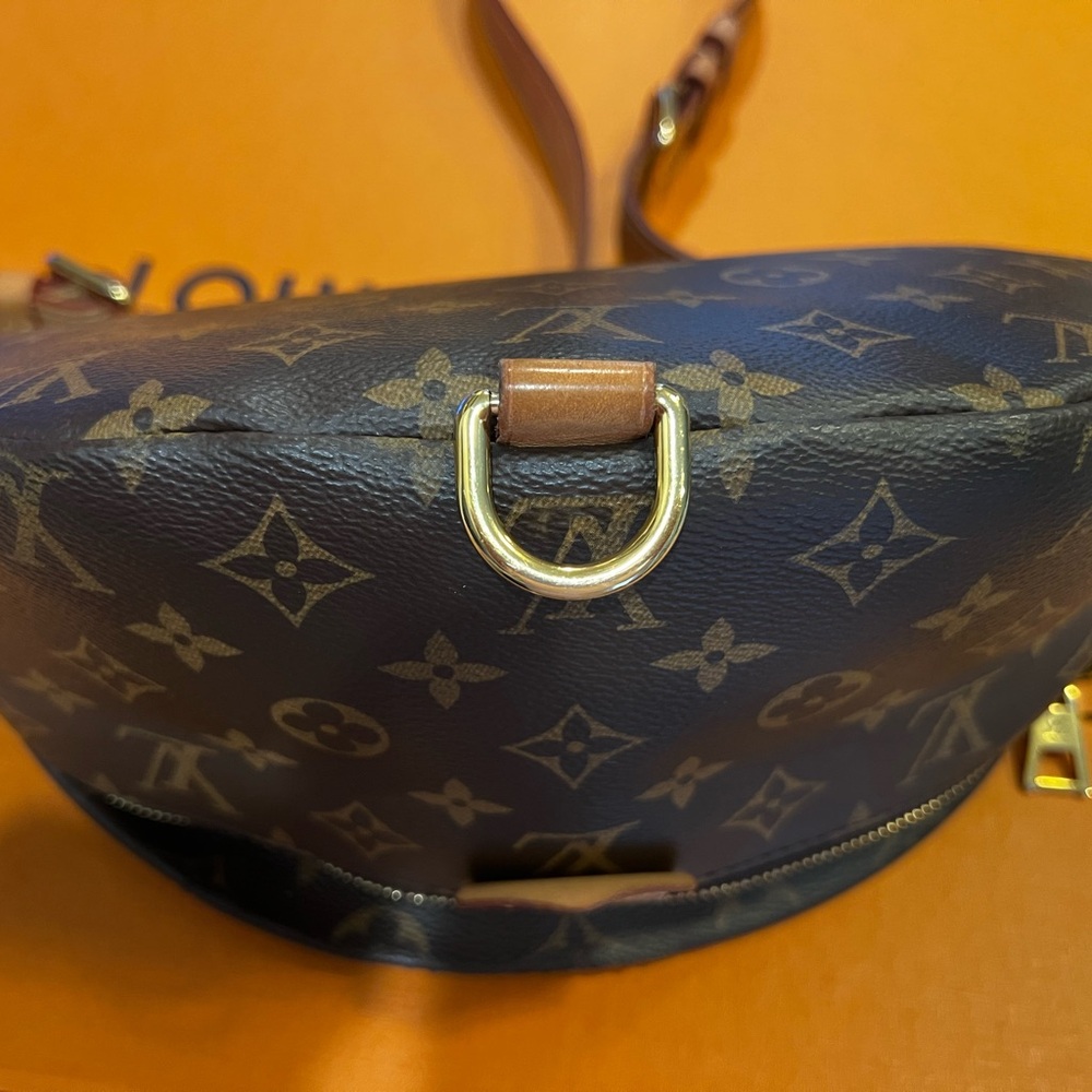 Louis Vuitton Bumbag - Picture 6 of 7